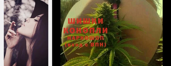 стаф Пересвет